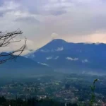Libur Sekolah? Ini 6 Rekomendasi Wisata Keluarga Seru di Bogor yang Wajib Masuk Bucket List